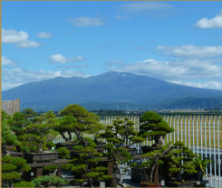 雄大な景色